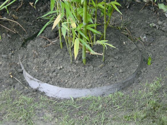 Wortelbegrenzer bamboe 0,7m x 5m