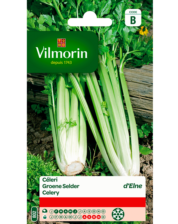 Vilmorin Zaden Selder Van Elne (Pascal) 1,5g