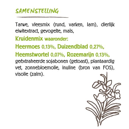 Ecostyle Hondenbrokken VitaalSpeciaal Darmbalans 12kg