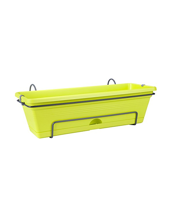Elho Green Basics Balkonbak All-In-One 50cm Limoen Groen