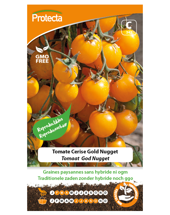 Zaadvaste Tomaat Zaden Gold Nugget