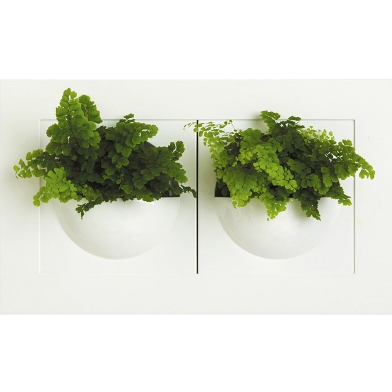 Set van twee witte Elho Green Gallery wanddecoraties met elk een halve, ronde bloempot voor het creëren van een verticale tuin.