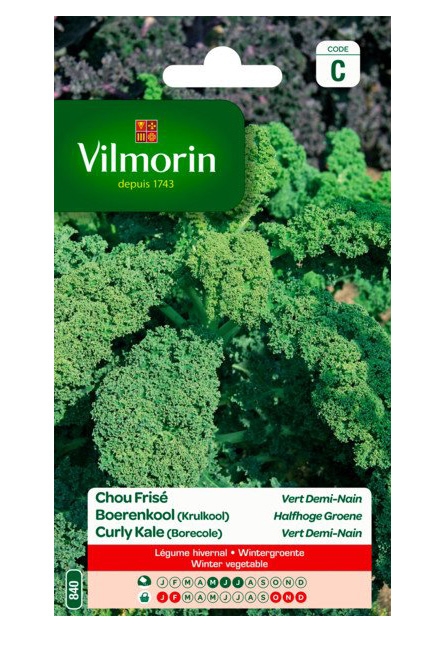 Vilmorin zaden Boerenkool (Krulkool) Halfhoge Groene