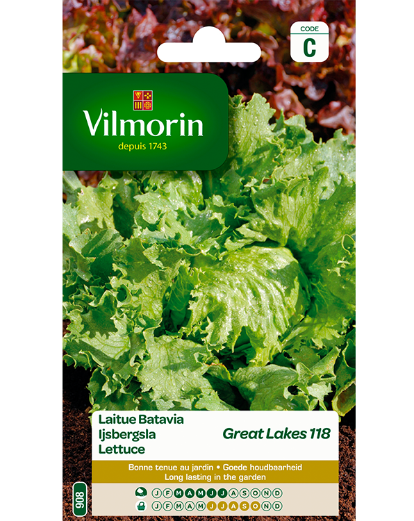 Vilmorin Ijsbergsla zaden Great Lakes 3g