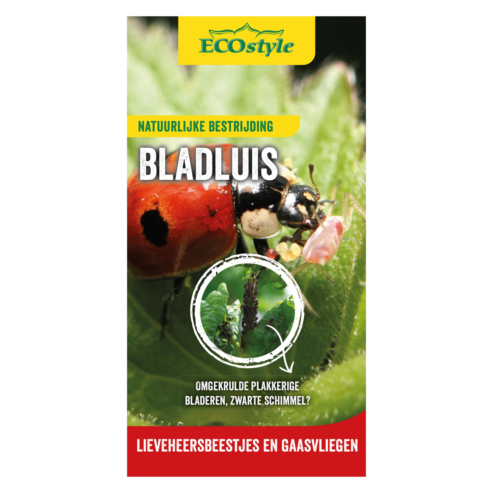 Ecostyle lieveheersbeestjes boerderij: Kweek je eigen bladluisverdelgers! 🐞