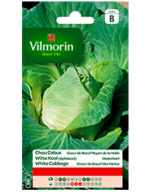 Vilmorin Witte Kool zaden Ossenhart 3g
