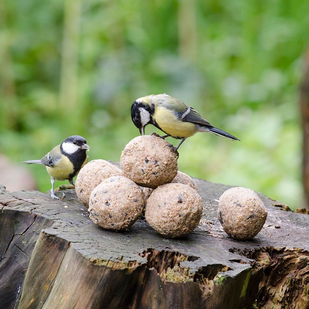 Mezenbollen Wildlife set 6