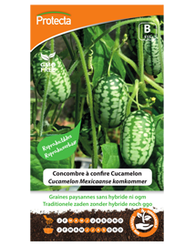 Zaadvaste Cucamelon Mexicaanse komkommer