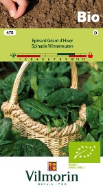 Vilmorin Zaden Spinazie winterreuzen Bio