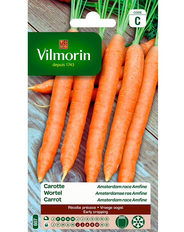 Wortel zaden Amsterdamse ras Amfine 6g
