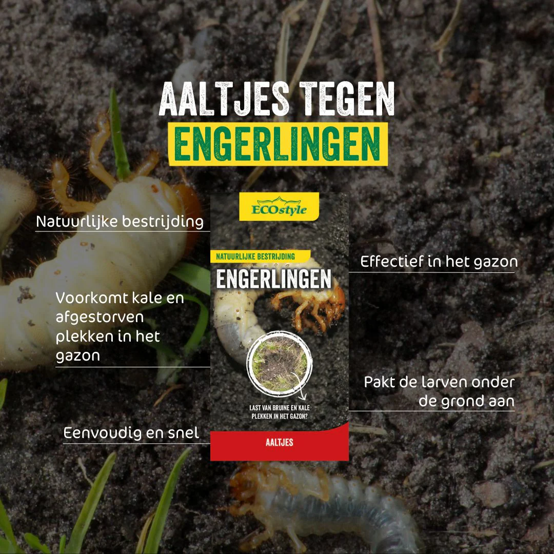 Engerlingen bestrijden met aaltjes (250 milj. - tot 500m²) 🐛 Engerlingen bestrijden met aaltjes (250 milj. - tot 500m²) 🐛