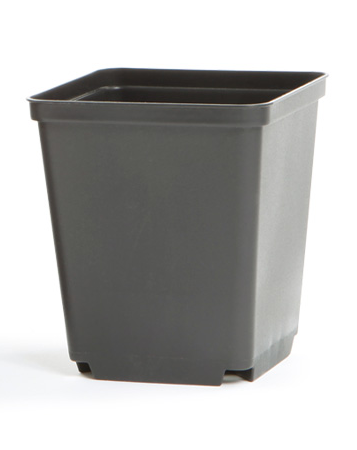 Kweekpotten vierkant 13 cm