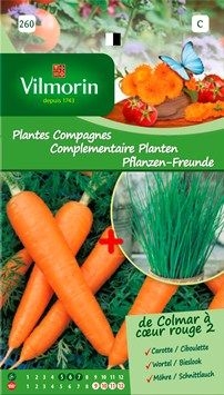 Wortel Colmar + bieslook