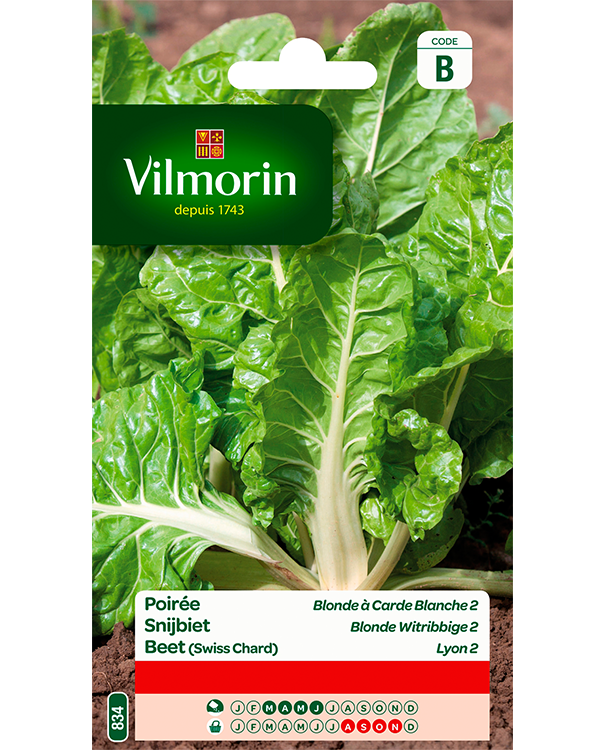 Vilmorin Snijbiet zaden Blonde Witribbige 2 van Lyon 5g
