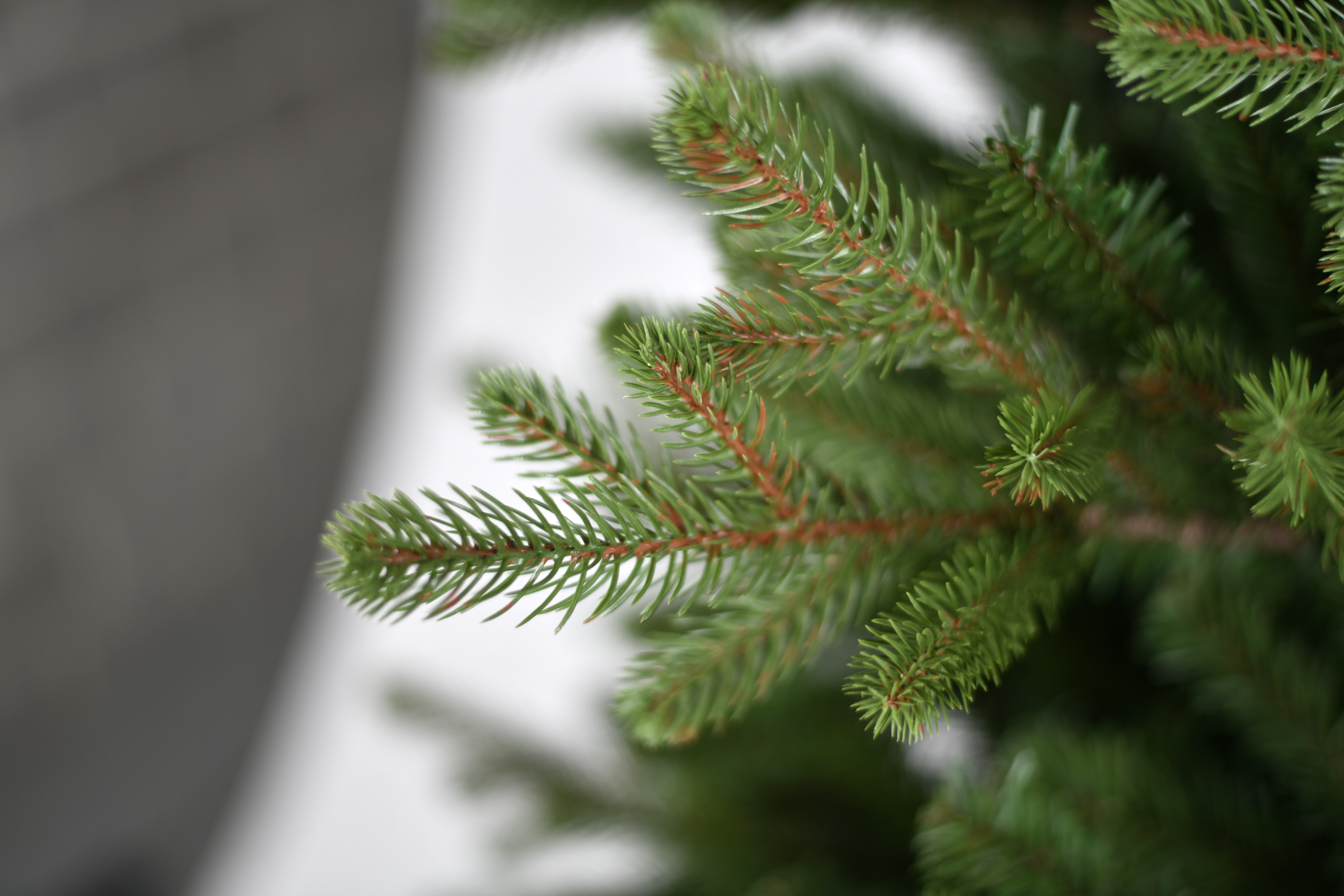 Mooie grote kunstkerstboom Greenwood L 243cm 🎄mét houten kruis