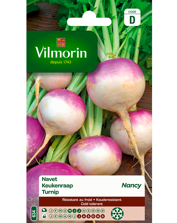 Vilmorin Zaden Keukenraap Nancy 
