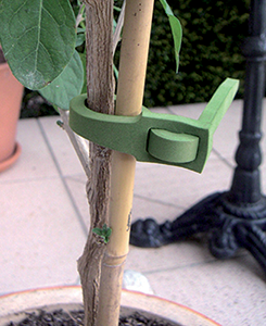 Plantenbinders voor bomen en planten 20st