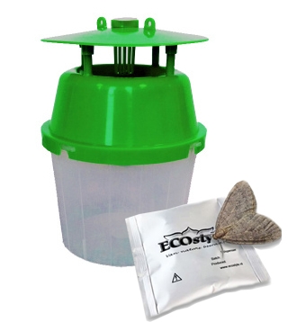 ECOstyle rechterval kleine wintervlinder + 2x feromoon 