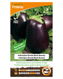 Zaadvast Aubergine Zaden Ronde Black Beauty