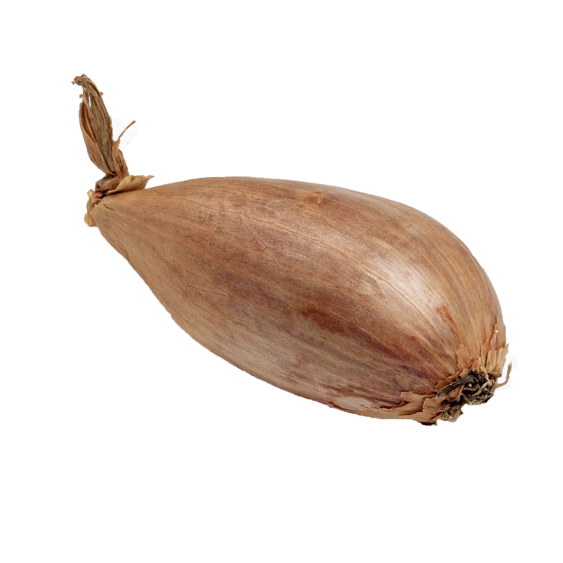 Sjalot Longor 500g