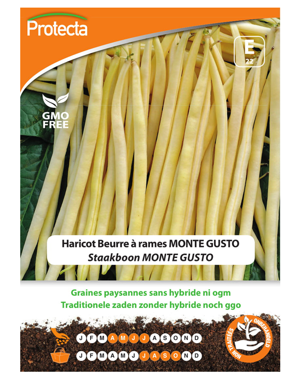 Zaadvaste Staakboon Zaden Monte Gusto