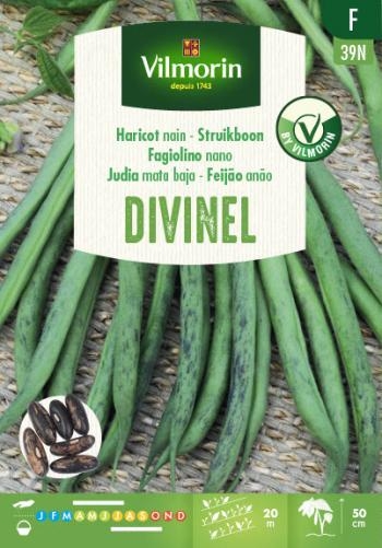 Vilmorin Zaden Struikboontjes Divinel zonder draad