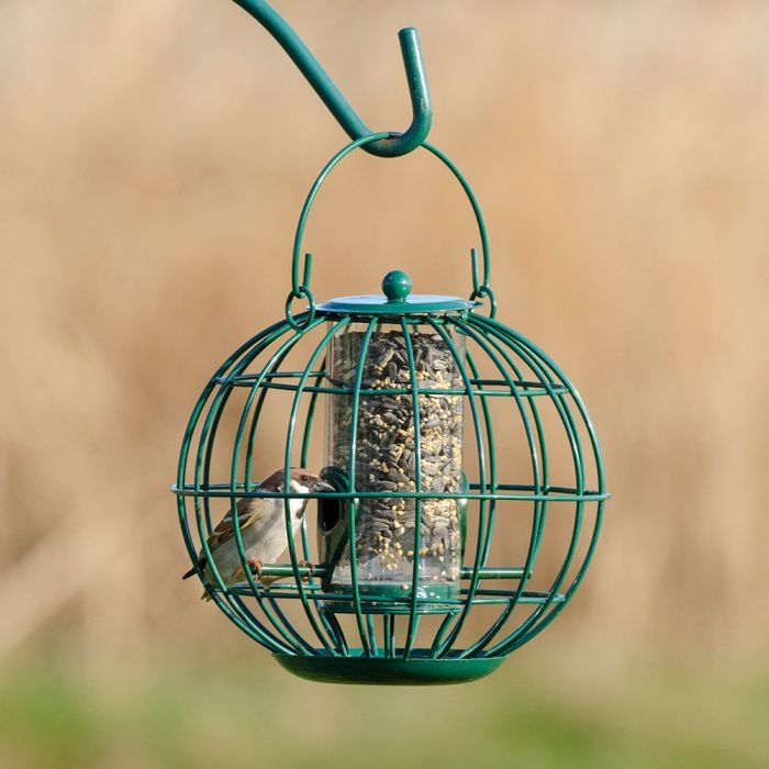 Voederstation vogels met 4 haken