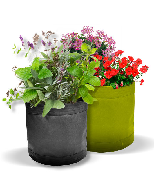 Ecostyle JardiMini Groeizak en Plantentas 40L