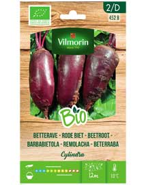 Bio groenten zaden Rode bieten Cylindra 5g