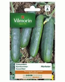 Vilmorin Zaden Komkommer Marketer