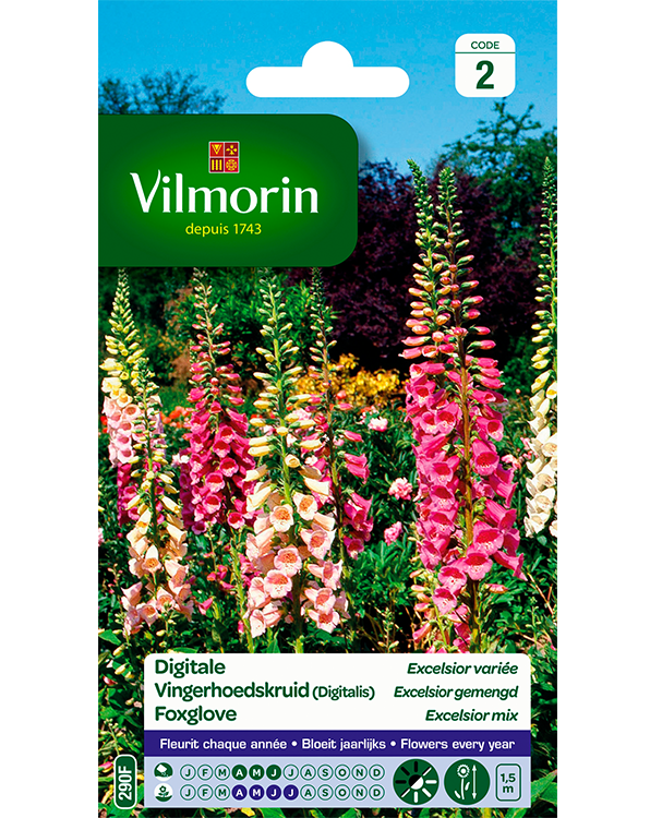 Bloemzaden Vingerhoedskruid Digitalis 0,5g