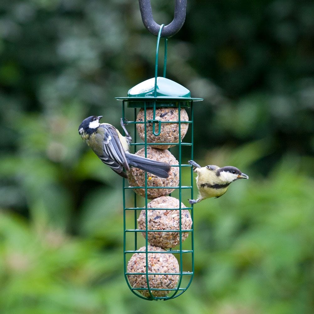 Voederstation vogels met 4 haken