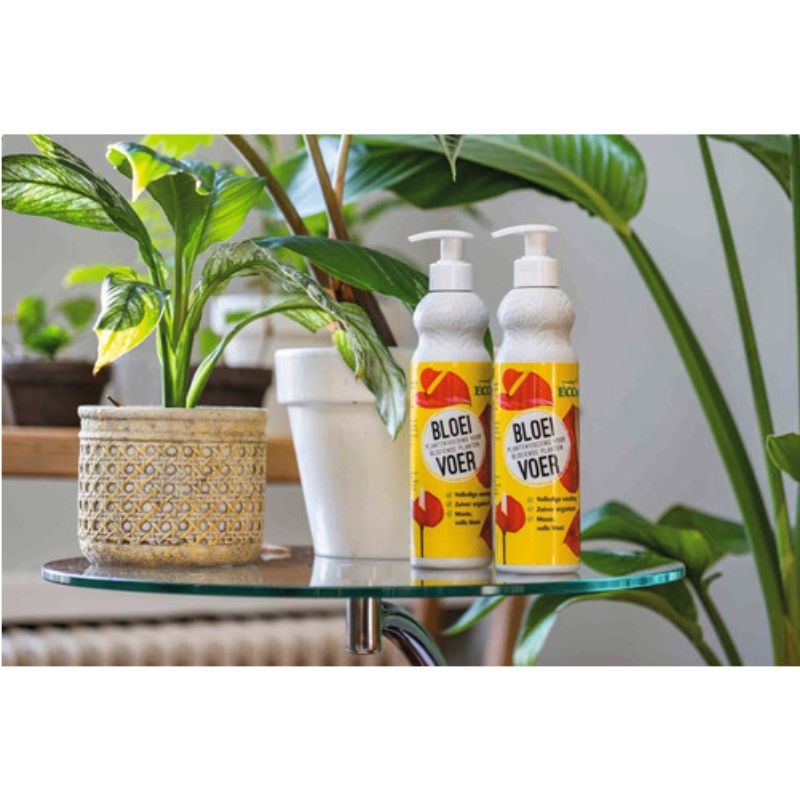 Twee flessen Ecostyle BloeiVoer plantenvoeding staan op een glazen tafel naast een bloeiende kamerplant. De voeding stimuleert de bloei en zorgt voor intensere kleuren.