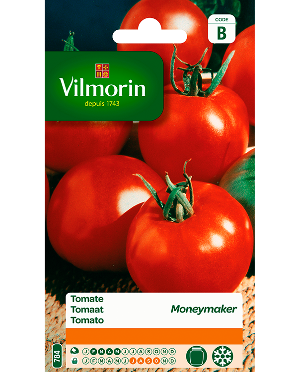 Vilmorin zaden Tomaat Moneymaker 2g