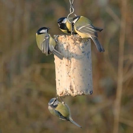 Vetblok voor vogels met zaden CJ Wildlife 500 ml