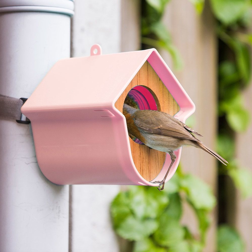 Pindakaas vogelhuisje Evie Roos
