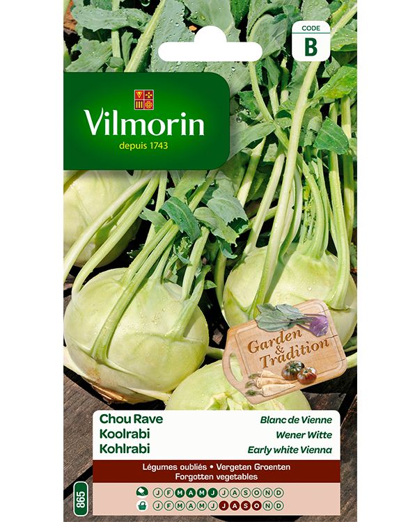 Vilmorin Koolrabi zaden Wener Witte 2g