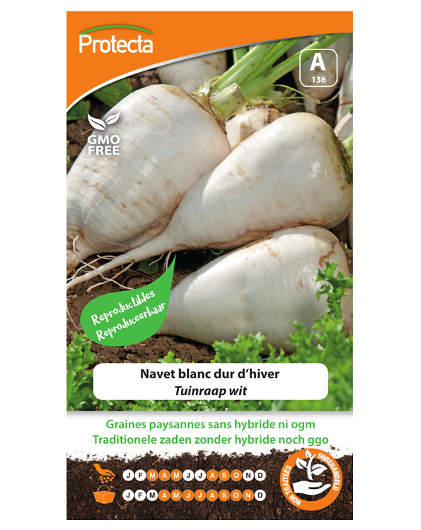 Zaadvaste Tuinraap Zaden wit 