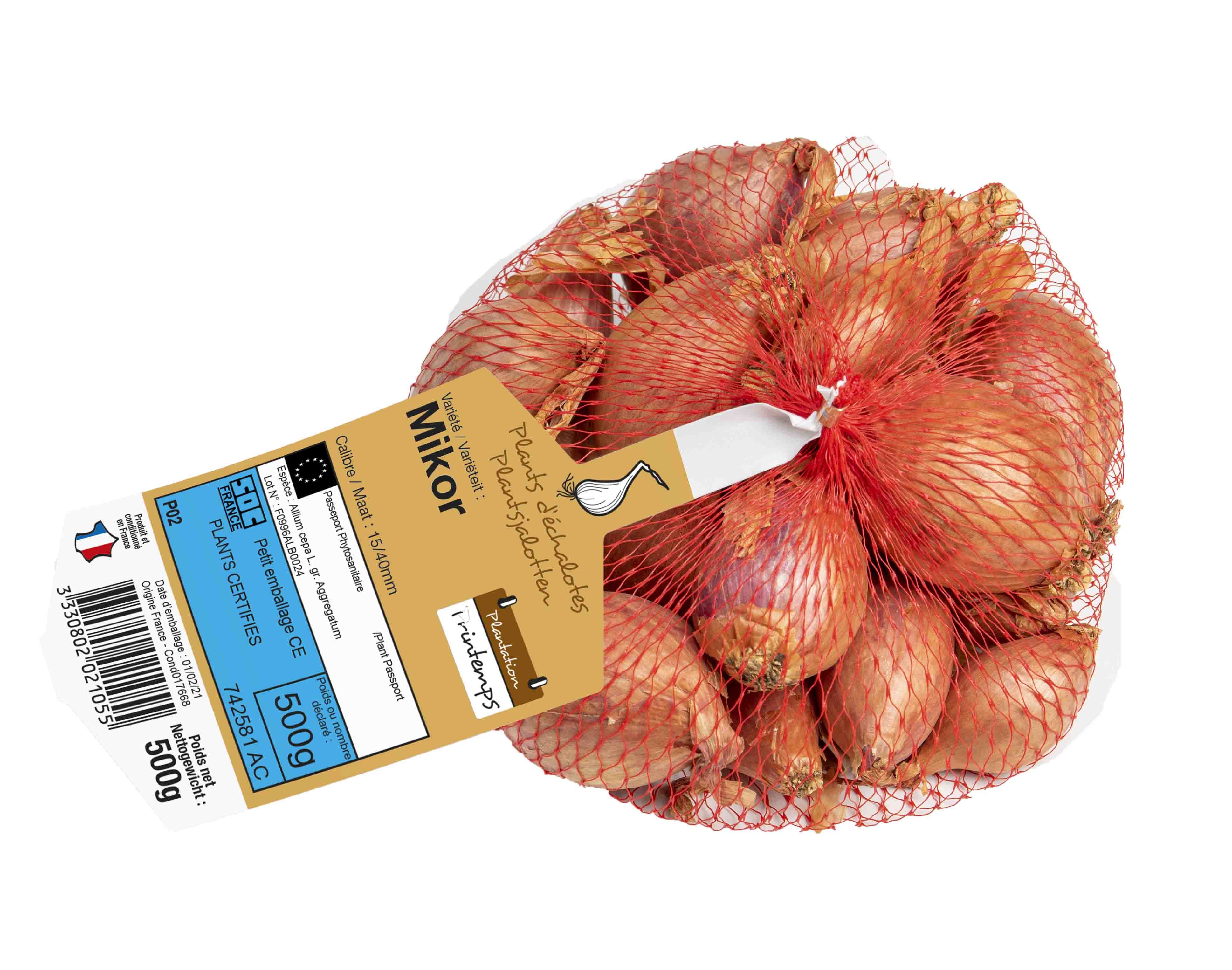 Sjalot Mikor 500g