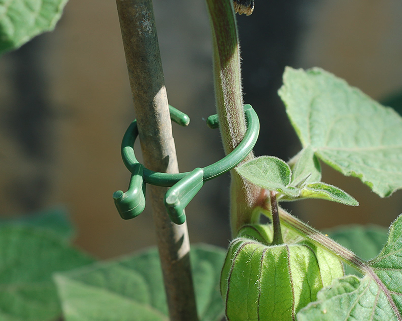 Plantenclips 15 stuks 