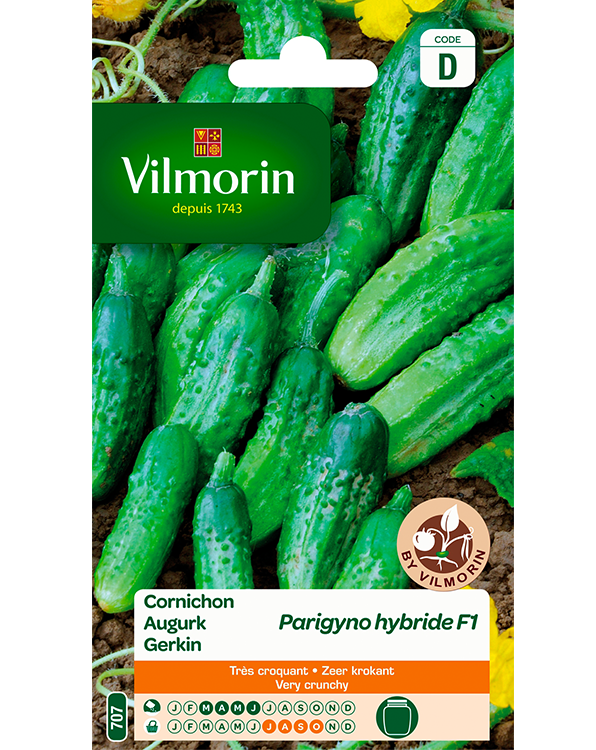 Vilmorin Augurk zaden Parigyno F1 2g