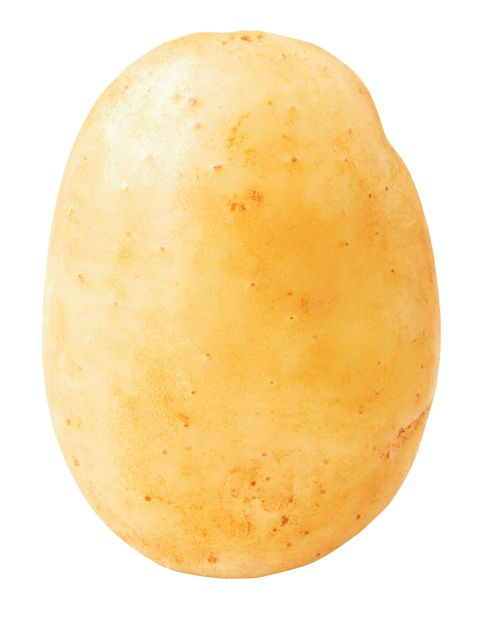 Pootaardappel Acoustic BIO 1kg | Vastkokend & Duurzaam | Online-tuincentrum.be Een enkele, lichtgele Acoustic pootaardappel, klaar om geplant te worden voor een duurzame en smakelijke oogst.