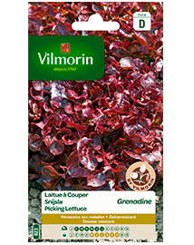 Vilmorin Snijsla zaden Gekrulde Grenadine 3g