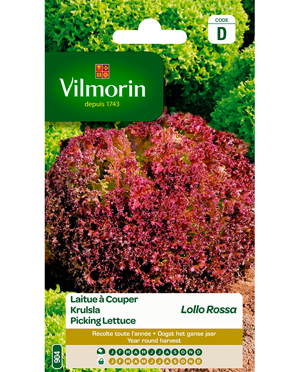 Vilmorin Krulsla zaden Lollo Rossa 3g