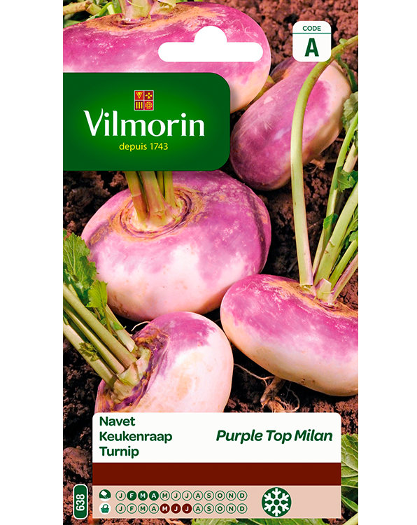 Vilmorin Zaden Keukenraap Purple Top Millan