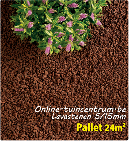 Lavakorrels als bodembedekker 5/15mm 24m²