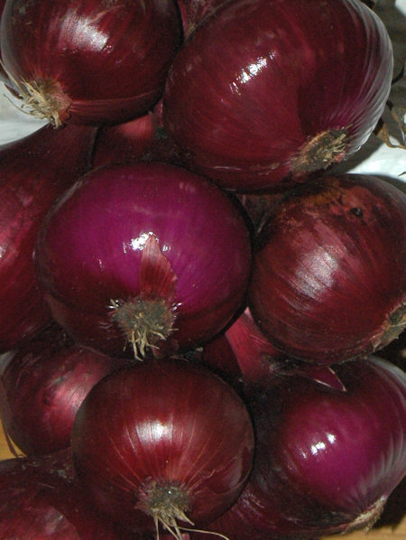 Plantajuin Red Baron 250 gr Rode plantajuin