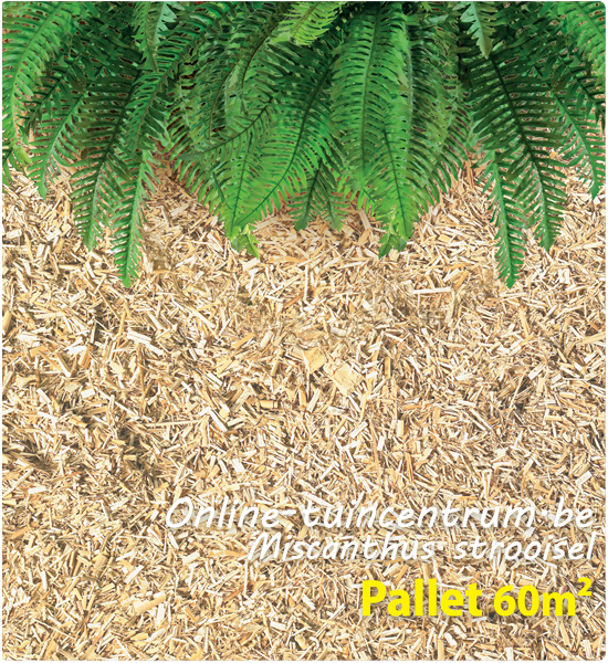 Miscanthus strooisel als bodembedekker per pallet 60m²