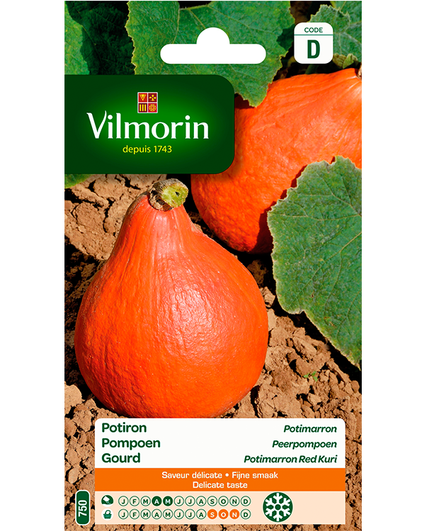 Vilmorin Zaden Pompoen Peerpompoen 2g