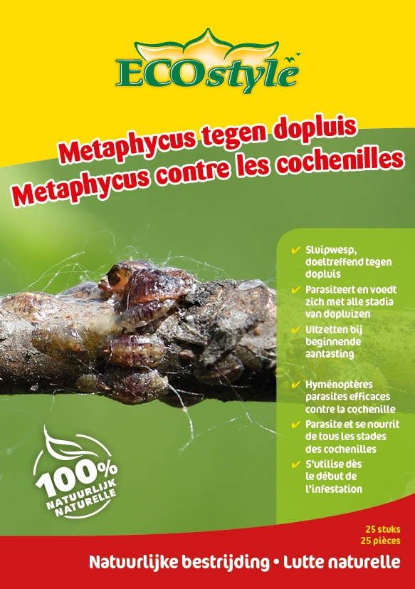 Ecostyle sluipwesp tegen dopluizen